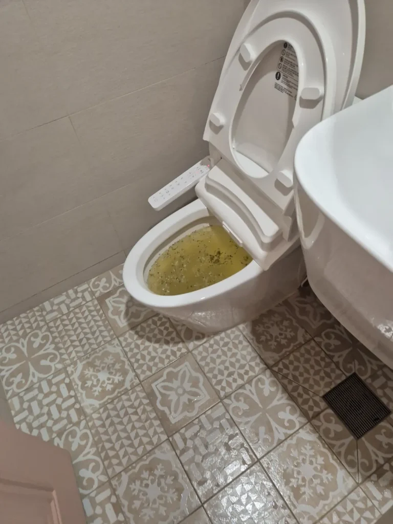 오물이 가득 찬 막힌 변기