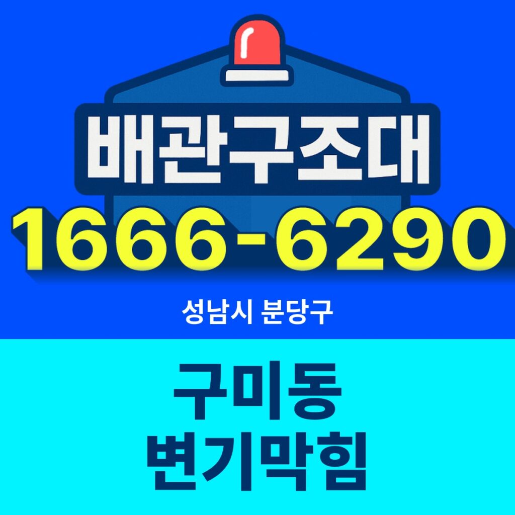 성남시 분당구 구미동 변기막힘 출동 현장