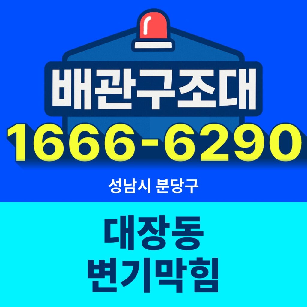 성남시 분당구 대장동 변기막힘 출동 현장