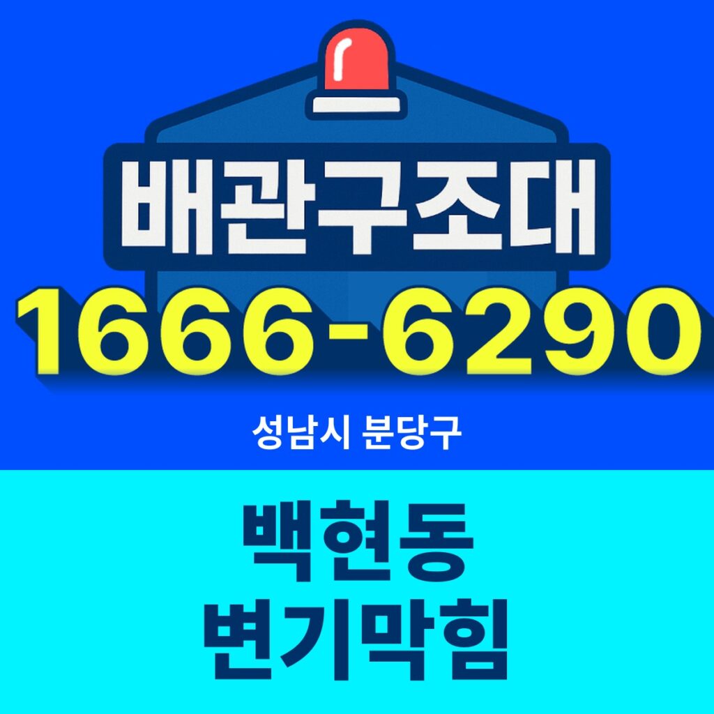 성남시 분당구 백현동 변기막힘 출동 현장