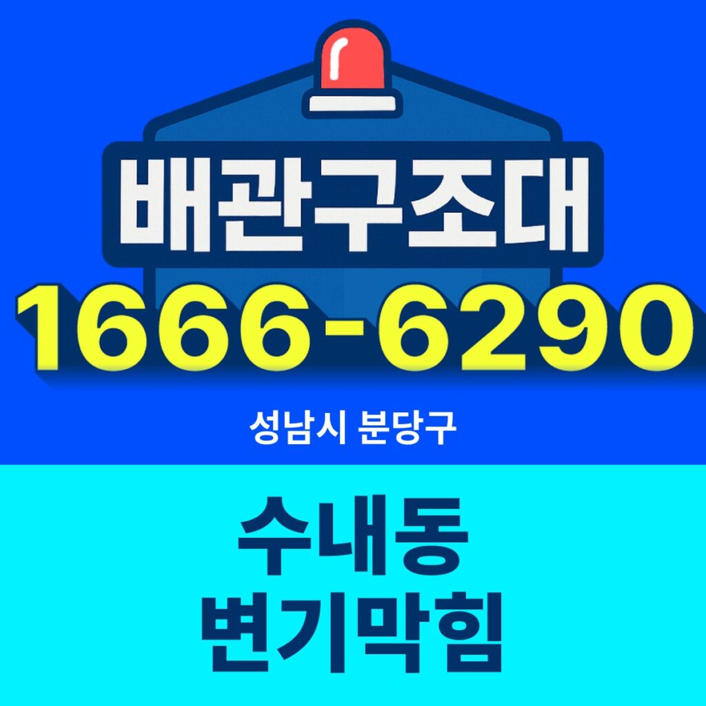성남시 분당구 수내동 변기막힘 출동 현장