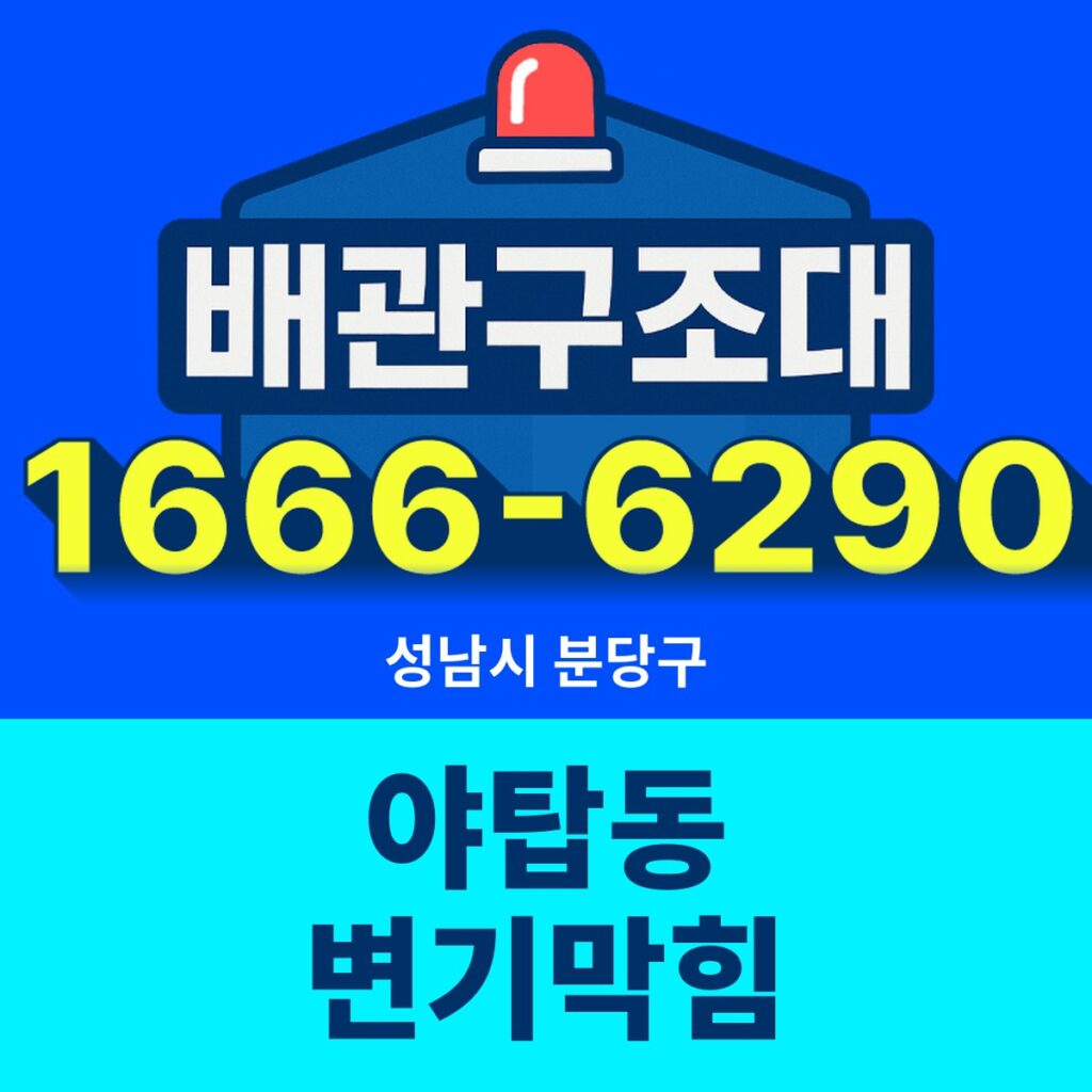 성남시 분당구 야탑동 변기막힘 출동 현장