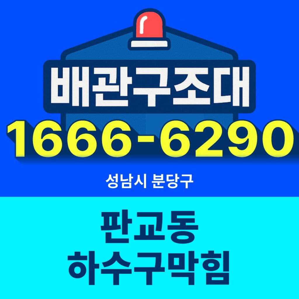성남시 분당구 판교동 하수구막힘 출동 현장