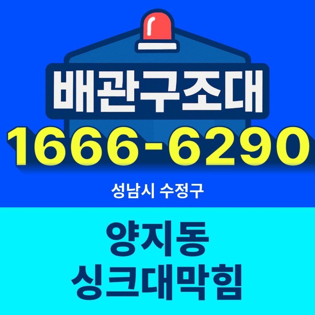 성남시 수정구 양지동 싱크대막힘 출동 현장