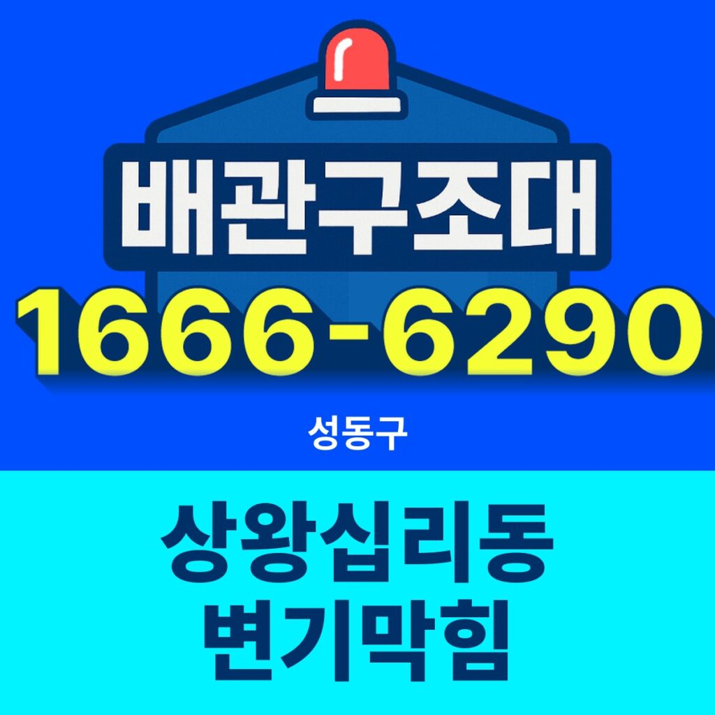 성동구 상왕십리동 변기막힘 출동 현장