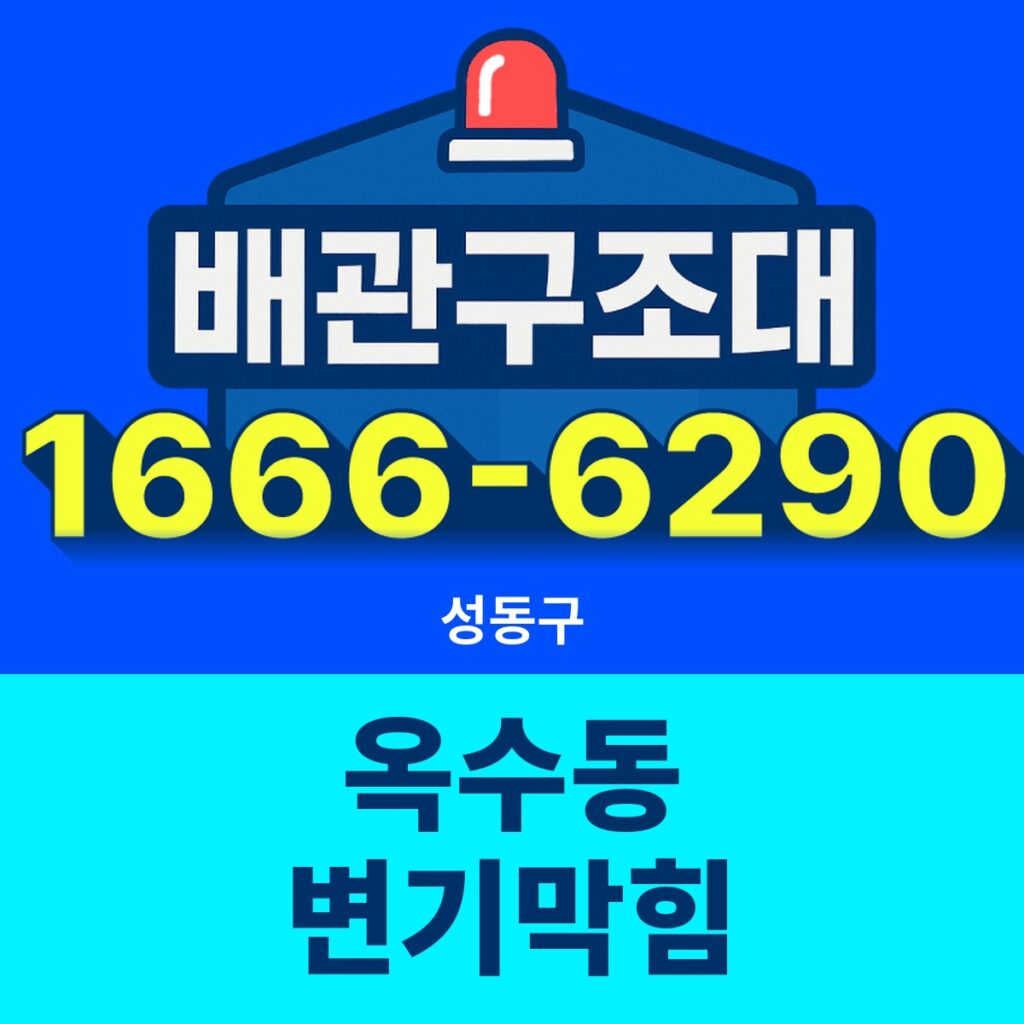 성동구 옥수동 변기막힘 출동 현장