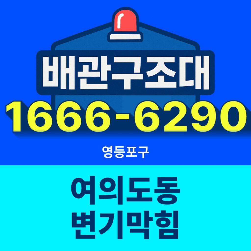 영등포구 여의도동 변기막힘 출동 현장