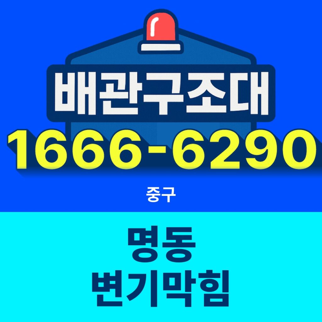 중구 명동 변기막힘 출동 현장