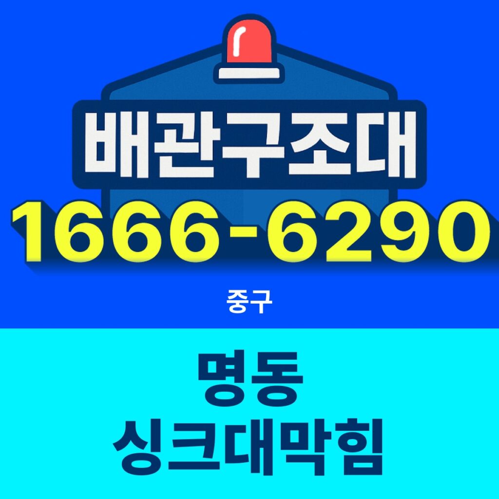 중구 명동 싱크대막힘 출동 현장