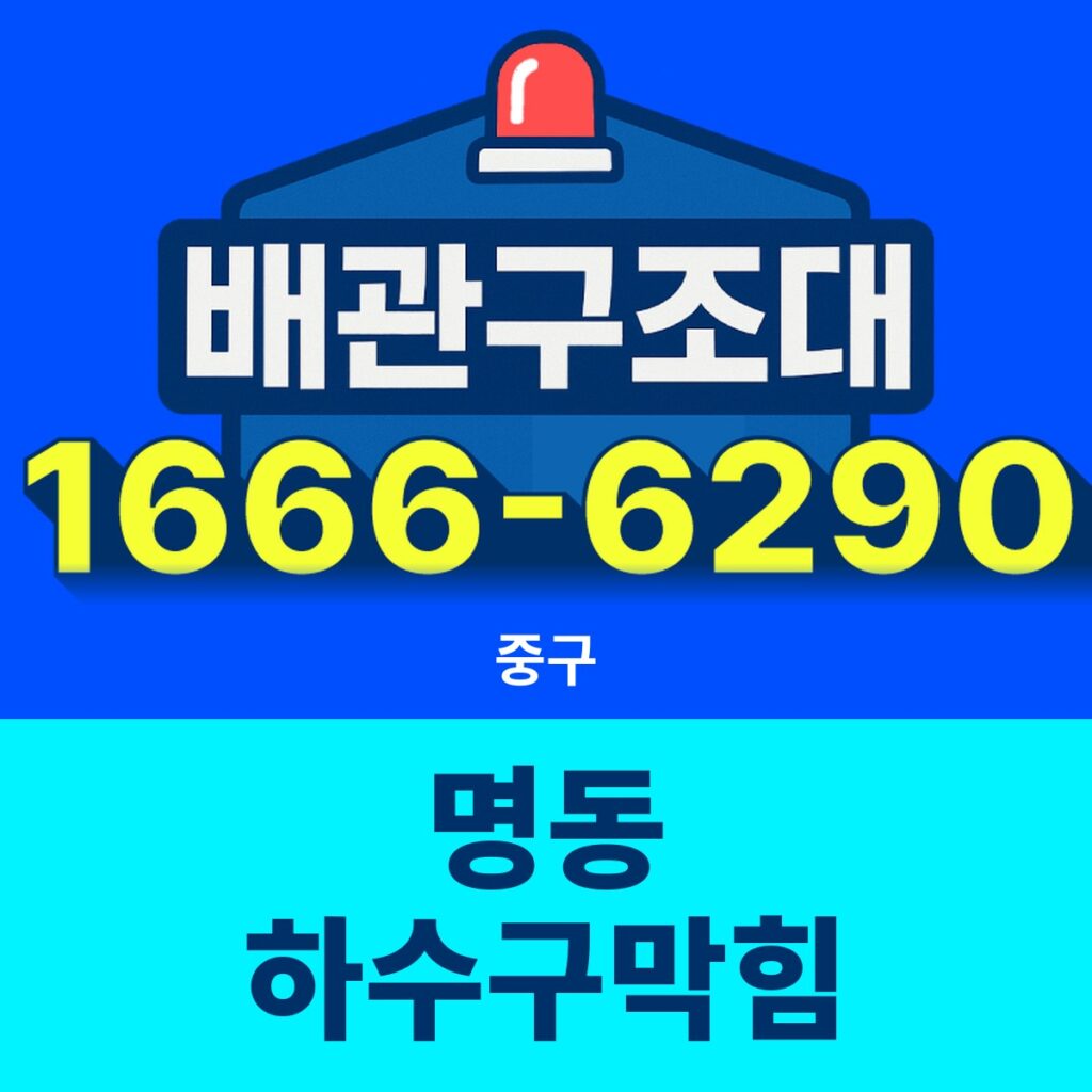 중구 명동 하수구막힘 출동 현장