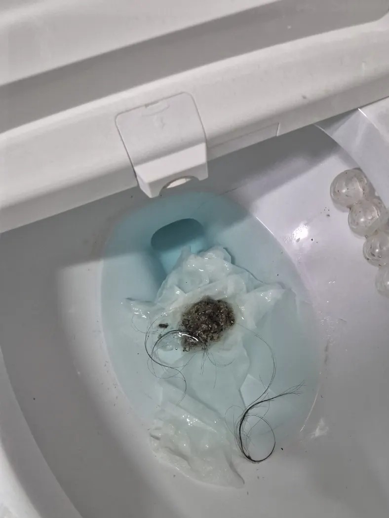 반려동물 털 하수구 막힘처럼 배수구에서 꺼낸 털과 머리카락 뭉치